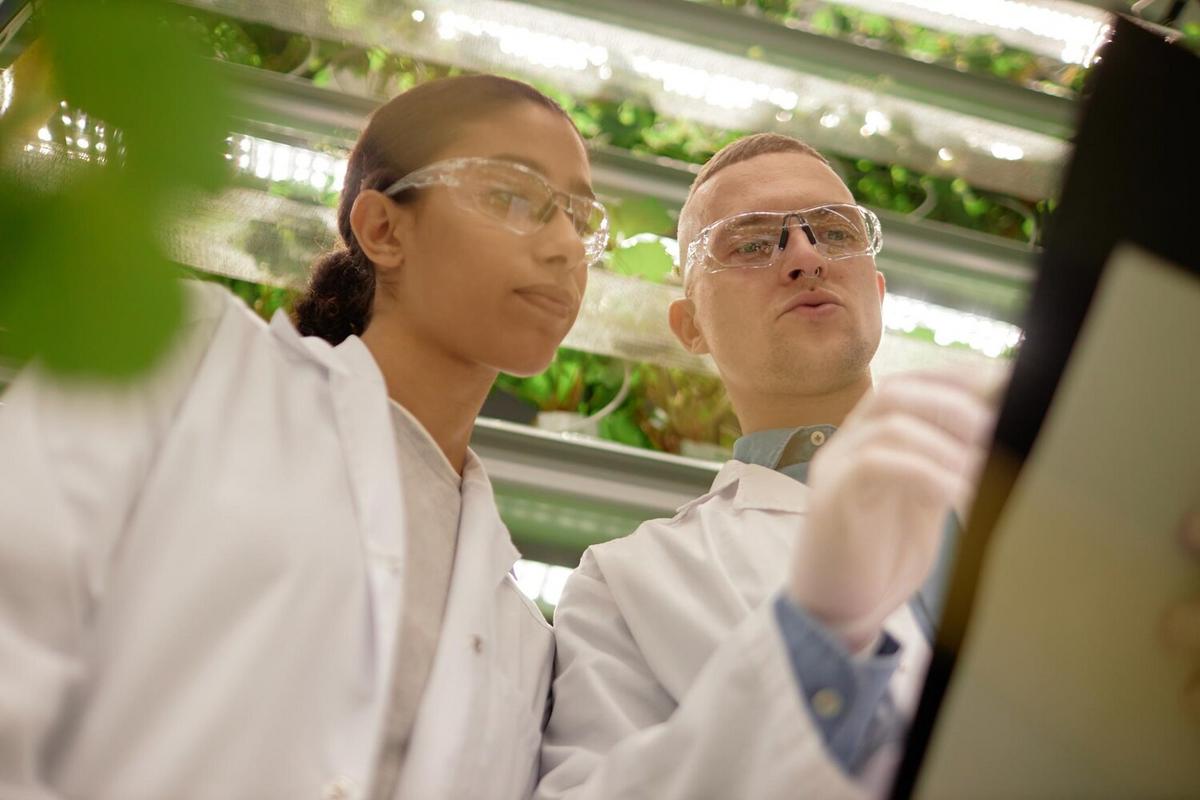 How Technology Is Making Sustainable Eating More Accessible